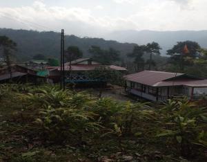 dentam
