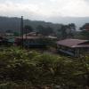 dentam