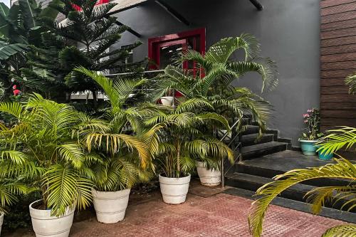 super townhouse swain heritage