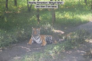 collection o 42886 palm tree lodge