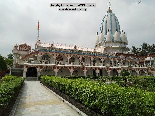 collection o 42886 palm tree lodge