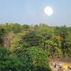 jamshedpur