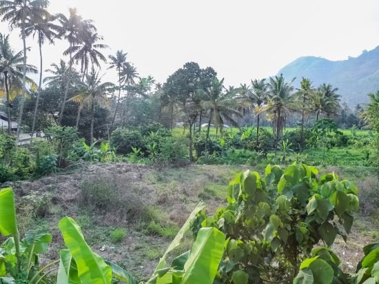 munnar