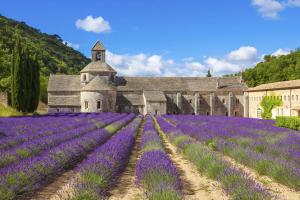 the originals boutique hotel du parc cavaillon