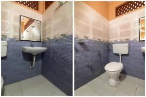 collection o trinayan associates