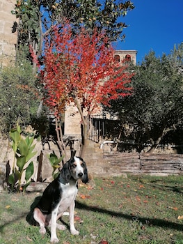 hotel rural la sala de camos