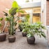 hotel terrassa confort