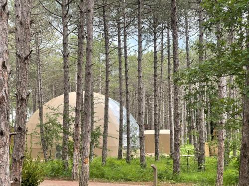 longosphere glamping