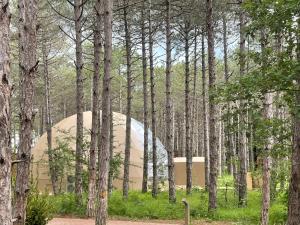 longosphere glamping