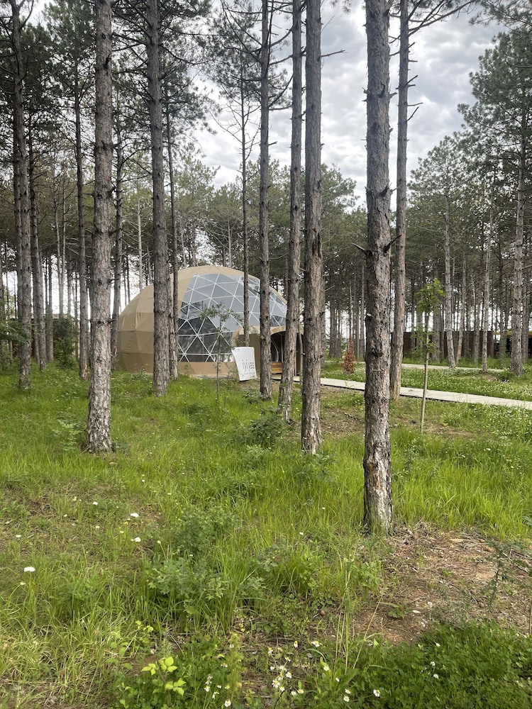 longosphere glamping