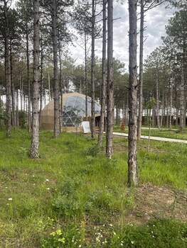longosphere glamping