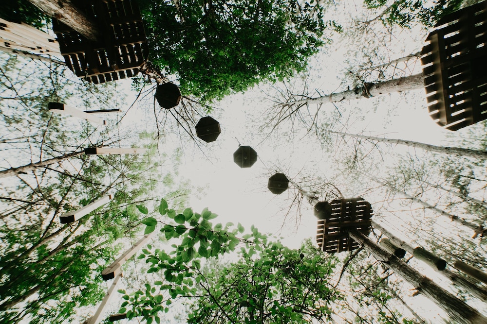 longosphere glamping