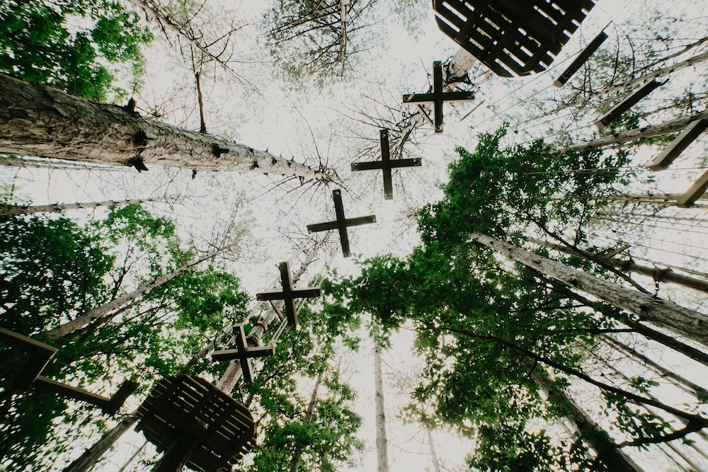 longosphere glamping