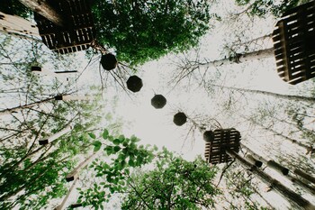 longosphere glamping