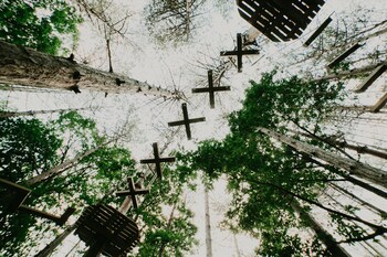 longosphere glamping