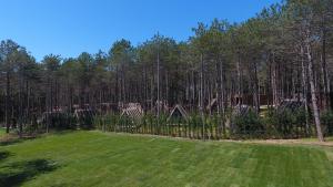 longosphere glamping