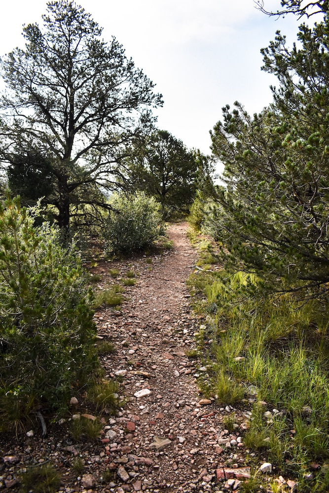 colorado springs