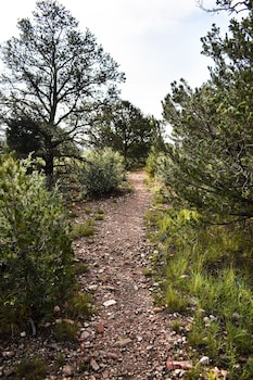 colorado springs