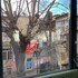 tbilisi
