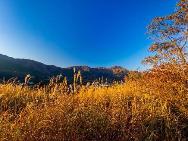 hakone