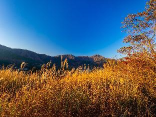 hakone