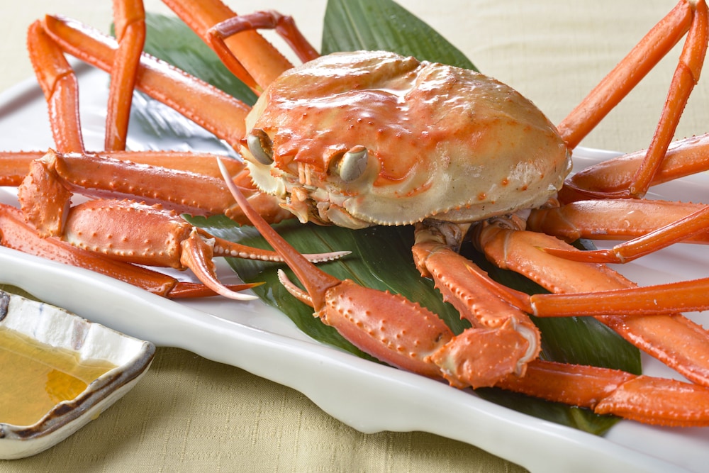 the gran resort kinosaki