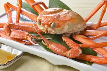 the gran resort kinosaki