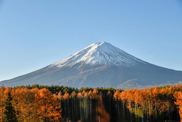 the gran resort princess fujikawaguchiko