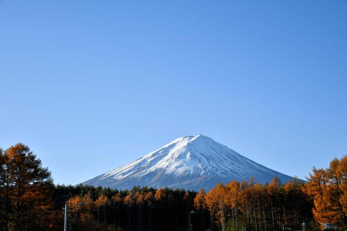 the gran resort princess fujikawaguchiko