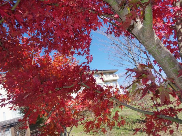 the gran resort princess fujikawaguchiko