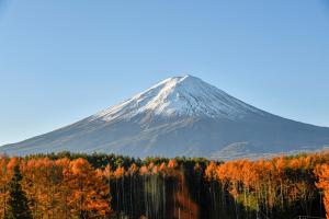 the gran resort princess fujikawaguchiko