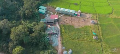 dandeli