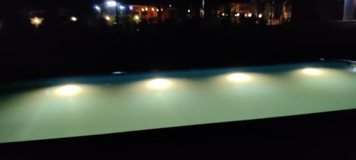 dandeli
