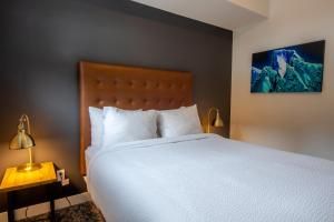 basecamp resorts revelstoke