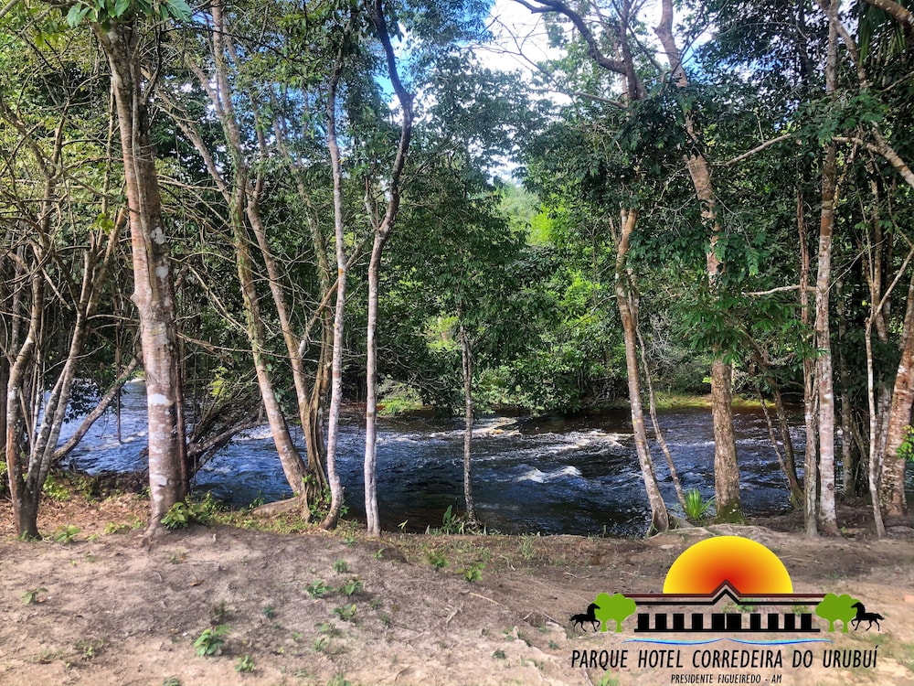 presidente figueiredo