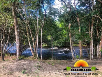 presidente figueiredo