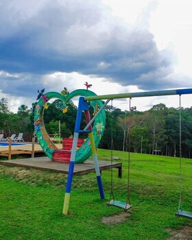 presidente figueiredo