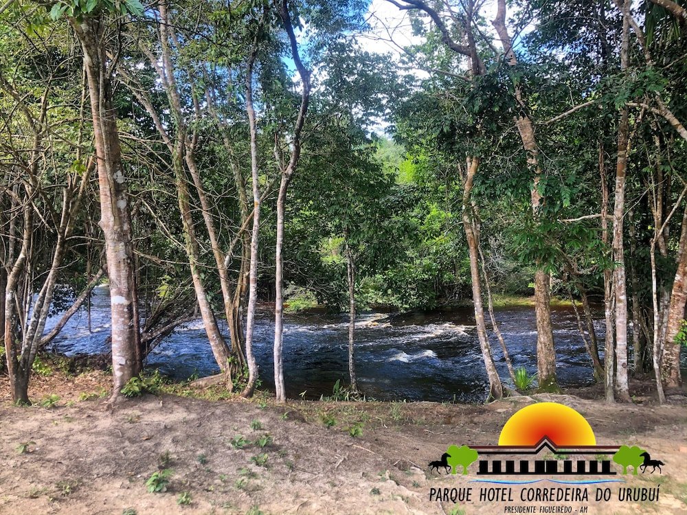 presidente figueiredo