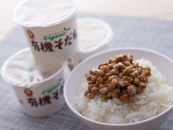 super hotel toyama imizu