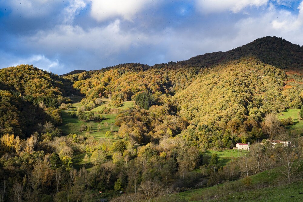 cillorigo de liebana