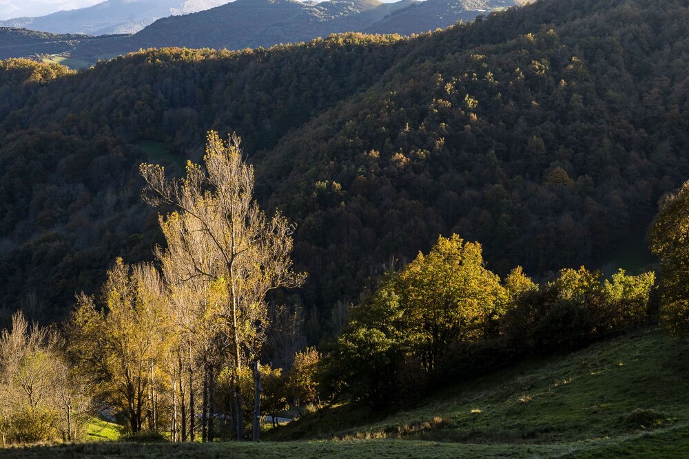 cillorigo de liebana
