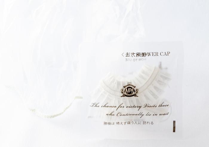 apa hotel shinagawa togoshiekimae