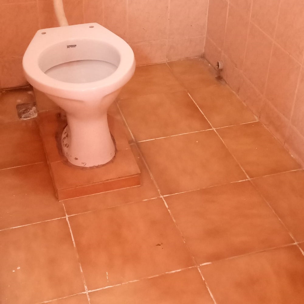 comfy night guest house