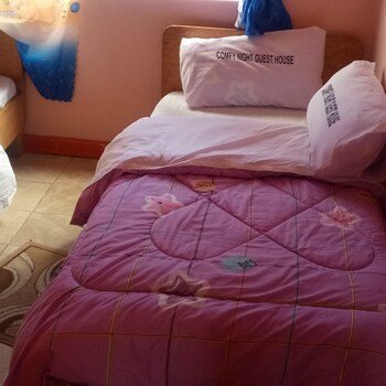 comfy night guest house