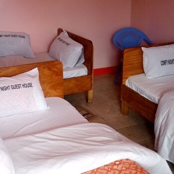 comfy night guest house