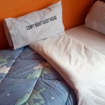 comfy night guest house