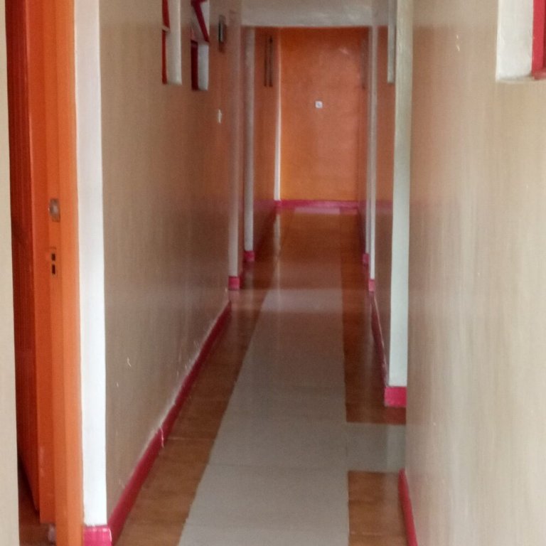 comfy night guest house