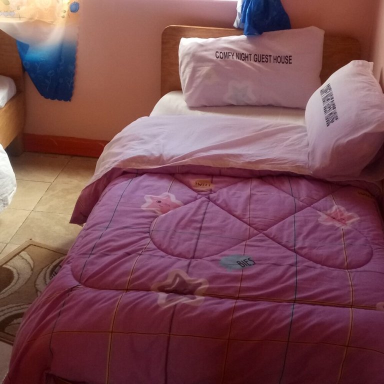 comfy night guest house