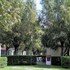 villaggio camping maratea