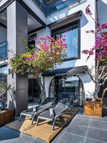 art and interiors boutique hotel